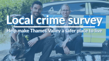 local crime survey