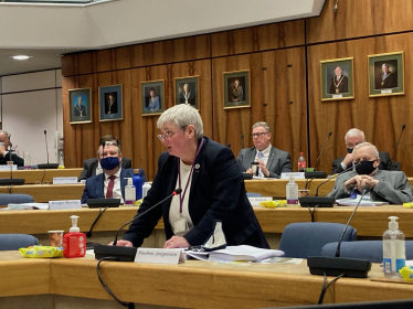 Cllr Pauline Jorgensen speaking in the council chamber