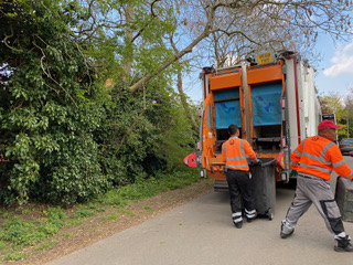 bin collections